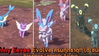 Shiny Eevee Evolve ครบทุกธาตุ Pokemon Legends Arceus