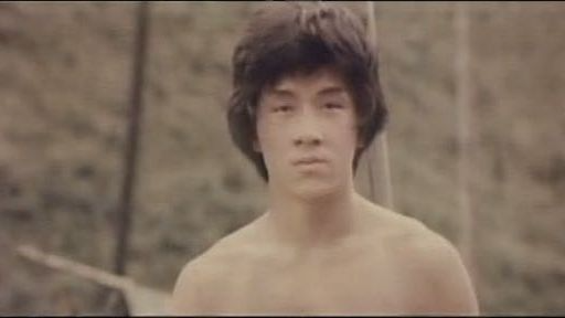 Cub Tiger From Kwang Tung (1971) | Young Jackie Chan Early Kung Fu Movie