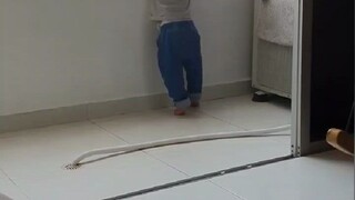 猫咪为小主人的安全操碎了心...