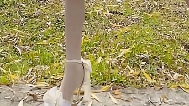 Lolita Collection 6.0 is here