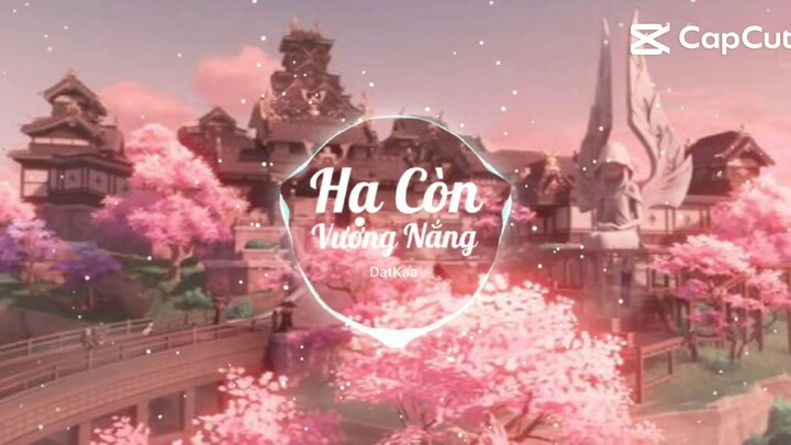 Hạ Còn Vương Nắng