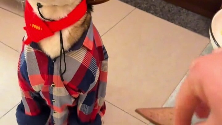 Being quick-eyed and quick-handed means having both sharp eyes and nimble hands.