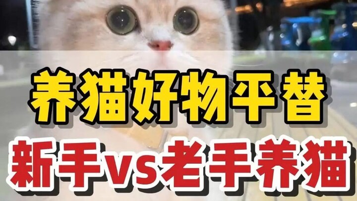 Alternatif murah untuk kebutuhan merawat kucing: Pemula vs. Senior, tanpa tertipu produk mahal!