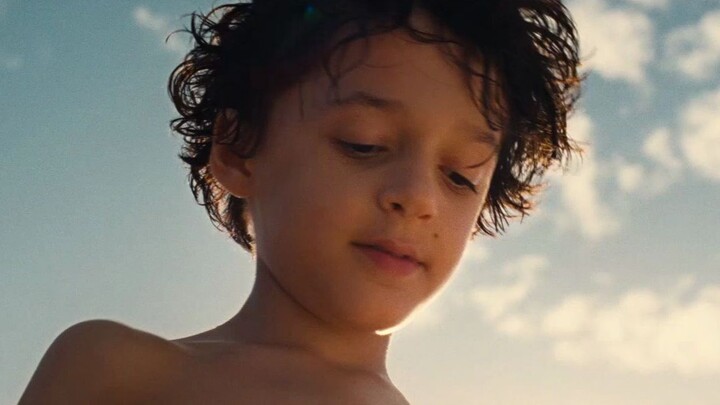 Life in Fast Forward: From Birth to Death in Just Three Days – “Growing Old”