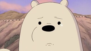 【We Bare Bears】White Bear really misses you