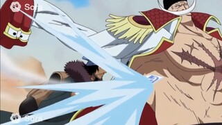 "Roronoa Zoro 29" — Aokiji Berkhianat!