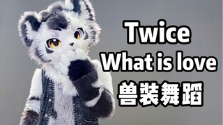 啥是爱？？兽人翻跳兔瓦斯What is love【银碳】