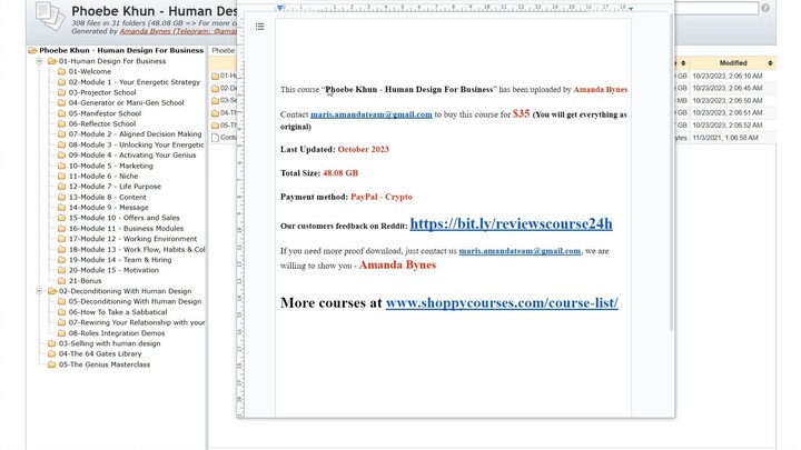 Phoebe Khun – Human Design For Business