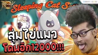 ผมโดนแมวหลอกไปอีก 12000  Ragnarok Landverse
