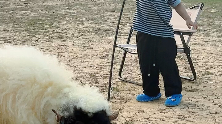 Yang satu ngotot pengin main, yang satu ngotot pengin tidur