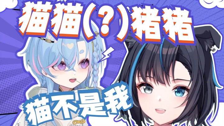 猫猫猪猪我们出生了【星汐Seki/雾深Girimi】