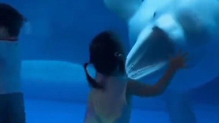 Moby Dick: I don’t like it when kids cry—unless I’m the one who made them cry.