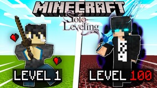 Minecraft, But It’s SOLO LEVELING…