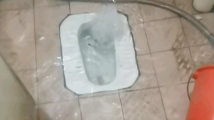 广东特大暴雨，1楼厕所变喷泉