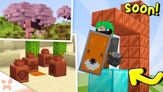 BANNER SHIELDS (and other huge changes) In Minecraft 1.19.80!