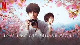 Love Like the Falling Petals [2022] Sub Indo | Jmovie