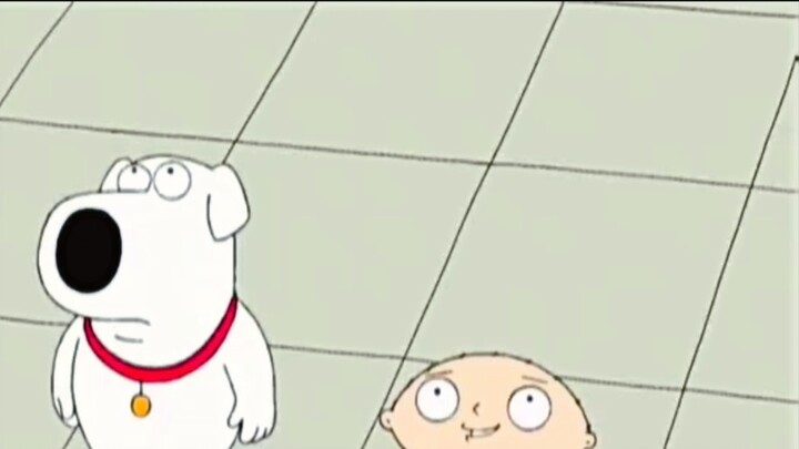 Dog, just pamper Stewie 2