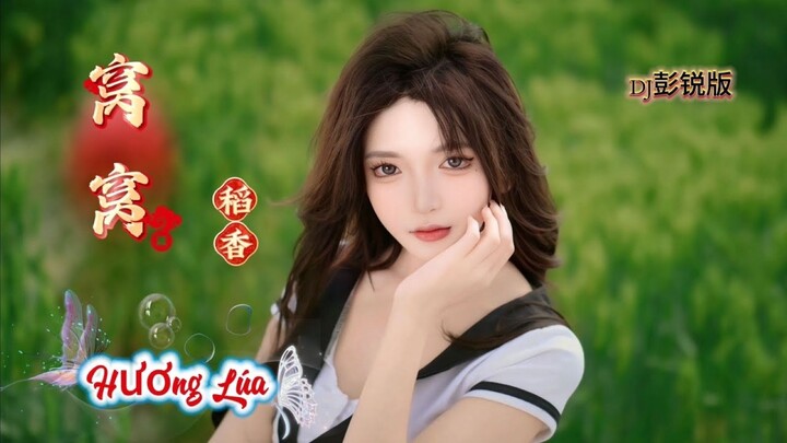 窝窝 - 稻香 Hương Lúa - Oa Oa (DJ彭锐版) Hot Douyin 2025