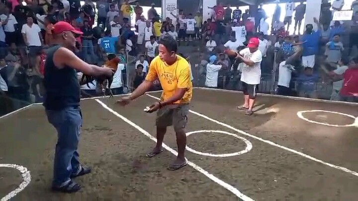 1st fight (tornado cross)win