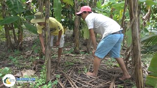 SĂN NẤM MỐI ĐẦU MÙA | Hội Ngộ Miền Tây - Tập 158