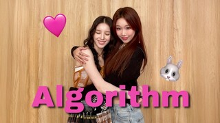 和田姬振本人一起的Algorithm挑战｜全世界最可爱的兔兔🐰