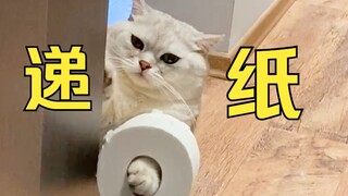لا يوجد علبة طعام مجانية للأكل