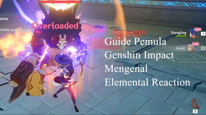 Guide Pemula Genshin Impact Elemental Reaction (Basic)