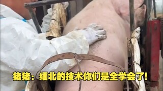 Zhu Zhu: Kalian benar-benar sudah menguasai semua teknologi dari Myanmar Utara!