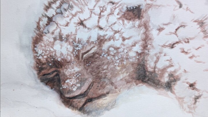 Mayat beku “harimau bergigi pedang” pertama di dunia!! Bayi harimau bergigi pedang berusia 30.000 ta