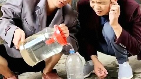 Most funny video new