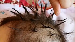 我们都要在鸡零狗碎的生活中找到闪闪发光的快乐