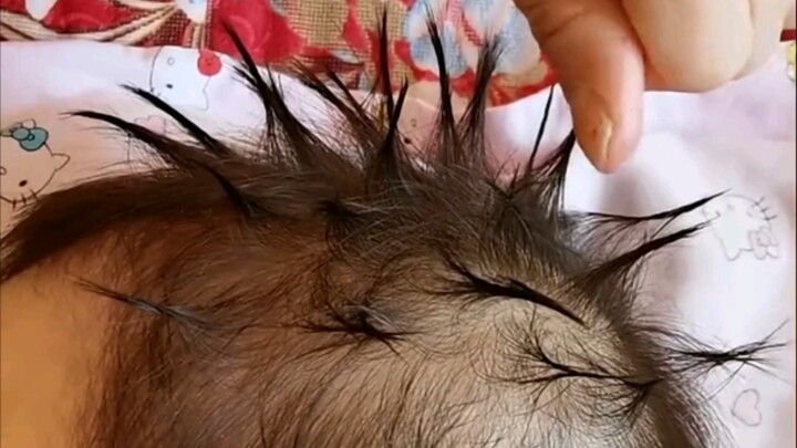 Kita semua harus menemukan kebahagiaan yang bersinar dalam kehidupan sehari-hari yang sederhana