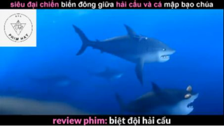 REVIEW PHIM : Biệt đội hải cẩu (p1) #rvphimhoathinh