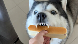 Divide the bread~