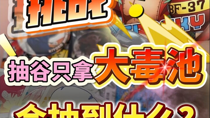 Multiplayer Challenge: Tackle the Internet’s Most Toxic Gacha Pool—What’ll You Pull?