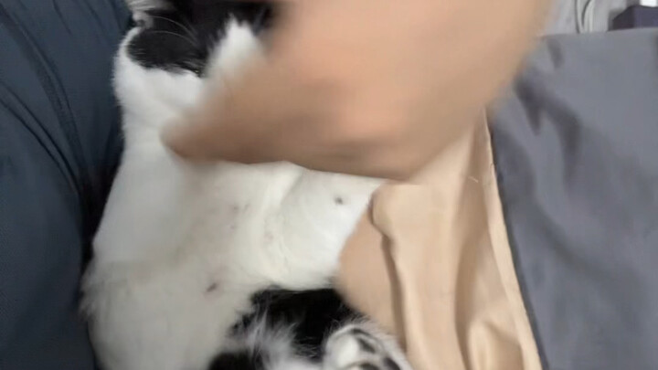 وقت الأبوة والأمومة الجميل～