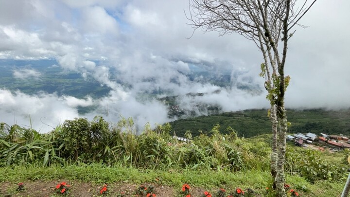 28/08/69 ที่ภูทับเบิก