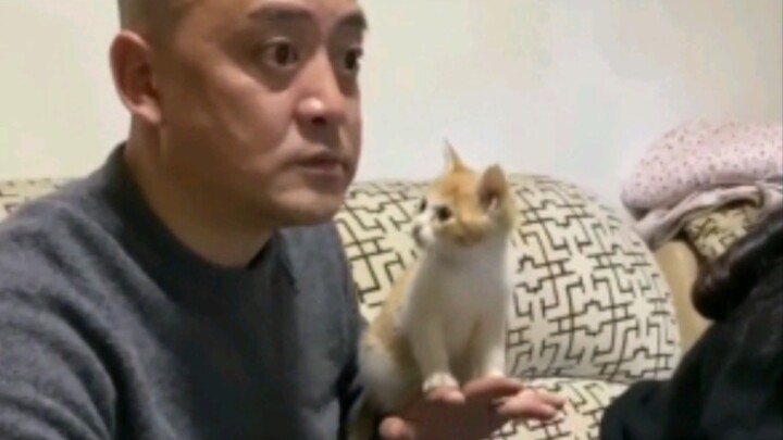 “Đây chính là những bậc cha mẹ ngày xưa không đồng ý nuôi mèo, nuôi chó”
