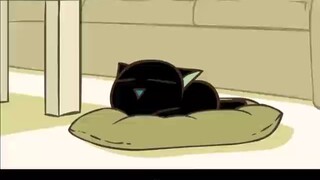 What? ! ! ! Can a cat's tail turn into a kitten?