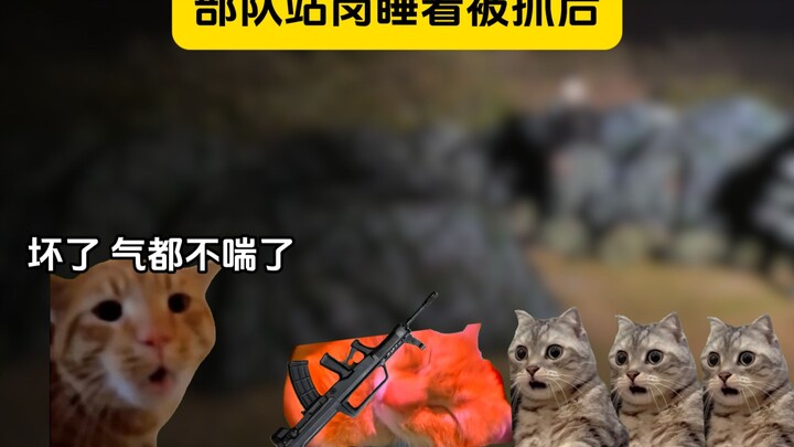 在部队站岗睡着被抓后（2）