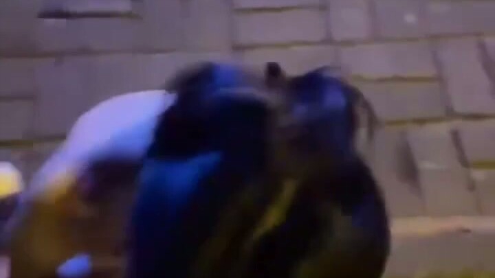 Di bengkel kecil, porsi bahan bakunya benar-benar gila 481!