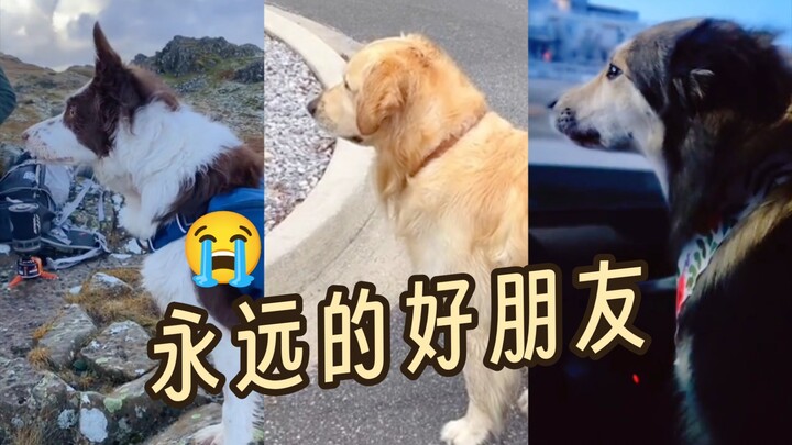 Ketemu teman baik tentu harus lari dong!