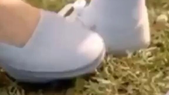 haymtdog