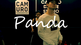 力丸编舞作品Panda