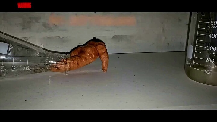 一根活着的胡萝卜成功逃离了实验室