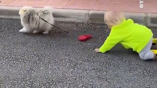 Aku nggak akan pernah biarin anakku main kembang api lagi🎆|Yang jalan sama anjing atau yang jalan sa