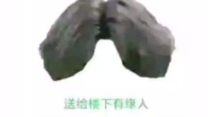 كنت في الأصل أحب مبارزة الصور.