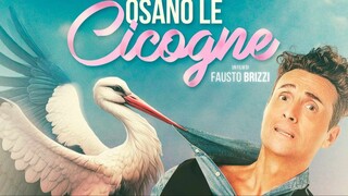 Dove osano le cicogne (2025) sub indo