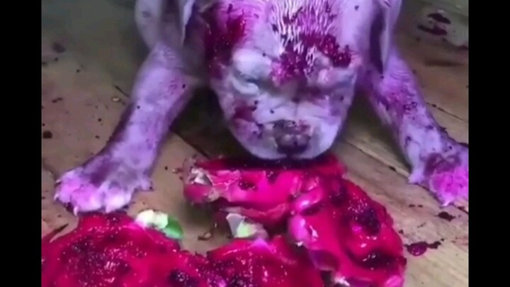 Eating dragon fruit feels like Resident Evil!