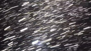 Norwegian Polar Individual Ration